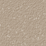 Nutmeg