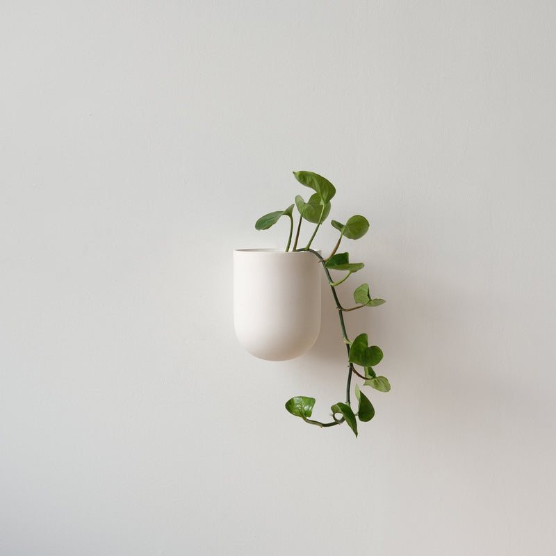 Bender Wall Planter - Misewell Pots & Planters - Coral - HORNE