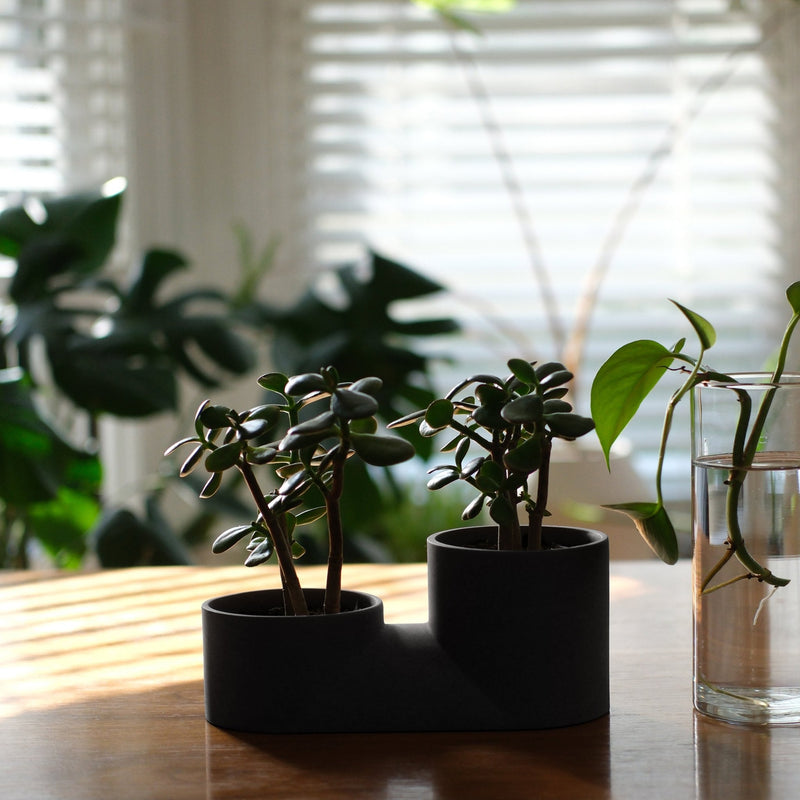 Double Planter - Misewell Pots & Planters - Dune - HORNE