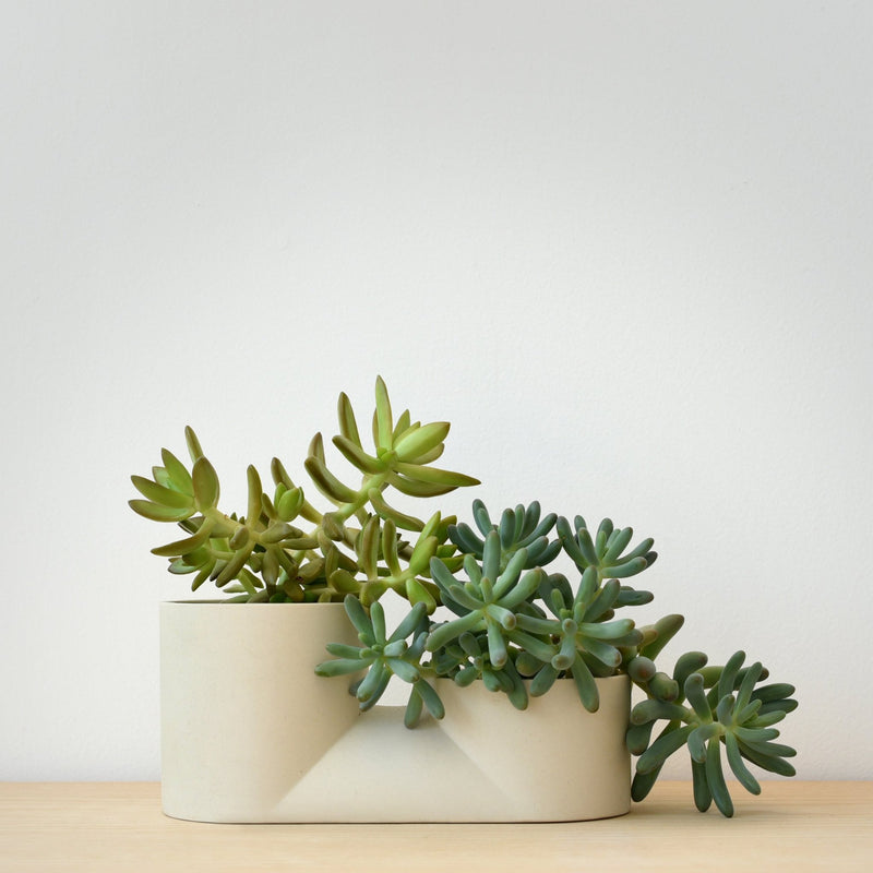Double Planter - Misewell Pots & Planters - Dune - HORNE