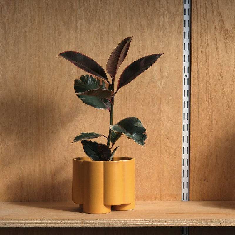 Pillar Planter - Misewell Pots & Planters - Brick - HORNE