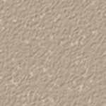 Nutmeg