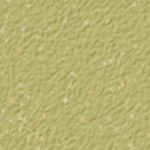 Willow Green