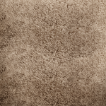Sahara
