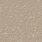 Nutmeg