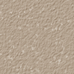Nutmeg