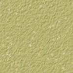Willow Green