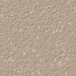 Nutmeg