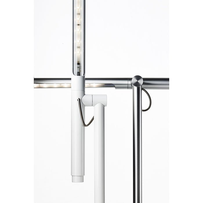 Pablo Brazo Task Lamp