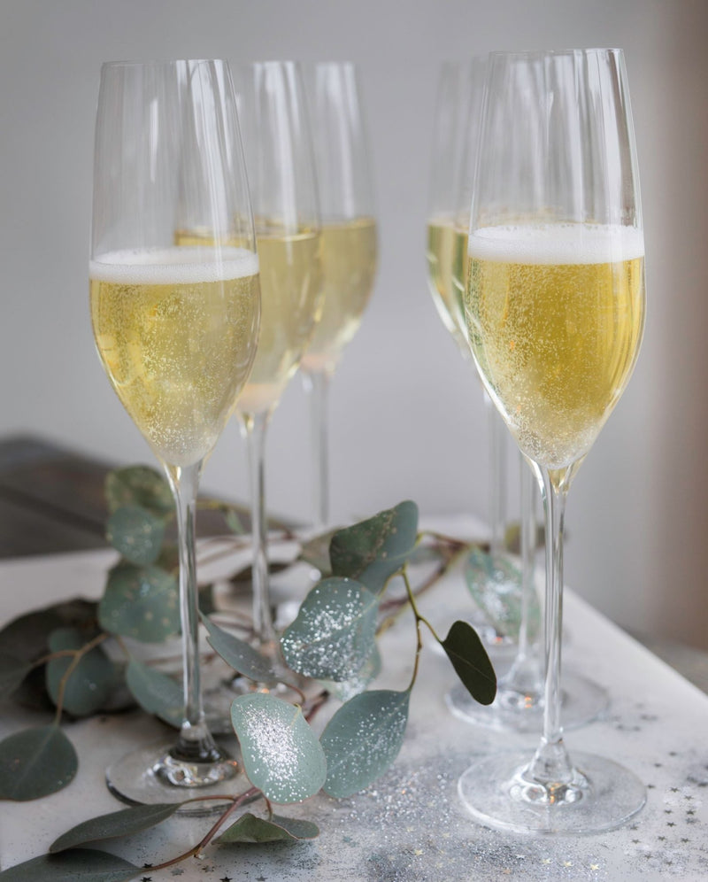 Cabernet Champagne Glass - Set of 6 - Holmegaard - Wine + Champagne Glasses - HORNE