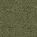 Black Frame/ Sierra Leather 0441 (Army)