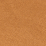 Chamois - 1708