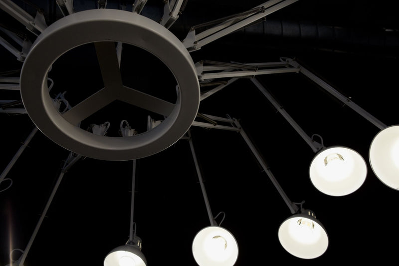 Dear Ingo Chandelier - Moooi - Chandeliers - Black - HORNE