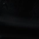 Black Lacquer