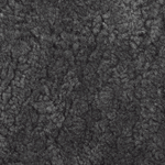 Scandinavian Grey