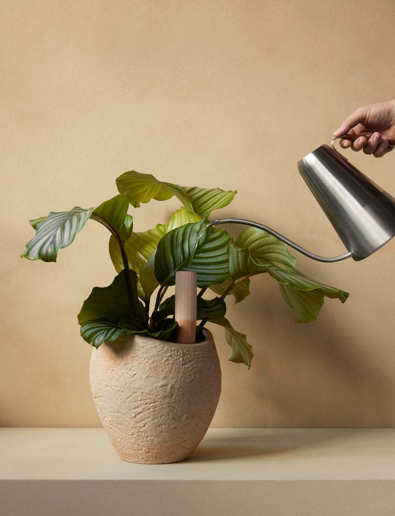 Hydrous Watering Sticks - Set of 2 - Audo Copenhagen - Planters - 10.2