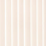 Cream Ribbon