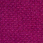 Fuschia