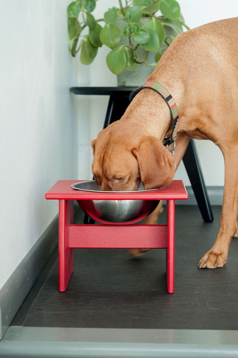 Minimalist Single Dog Bowl - Medium - Loll Designs - Outdoor Accessories - Black - HORNE