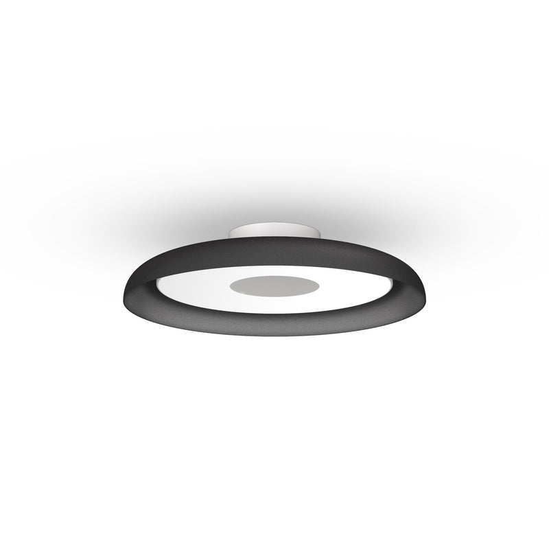 Nivél Flush 15 Wall/Ceiling Lamp - Pablo Designs - Wall Sconces - Black - HORNE