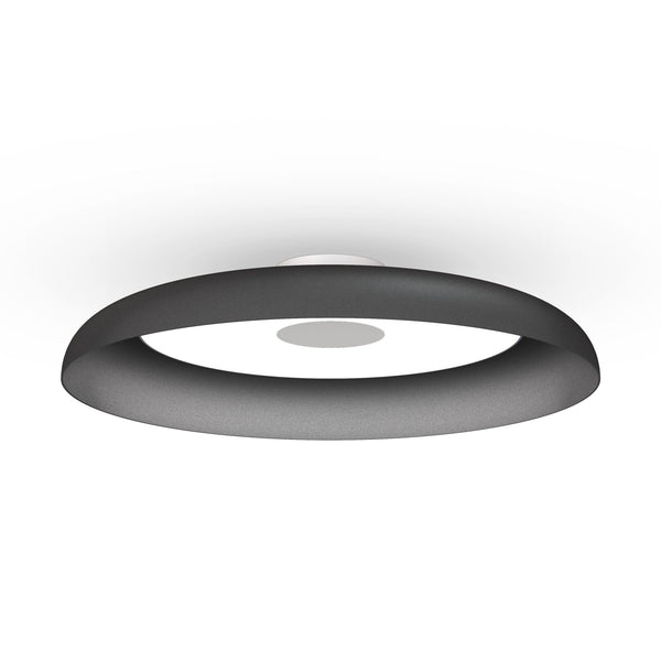 Nivél Flush 22 Wall/Ceiling Lamp - Pablo Designs - Wall Sconces - Black - HORNE