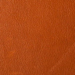 Aniline Cognac 02
