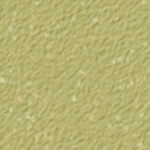 Willow Green