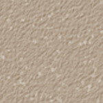 Nutmeg