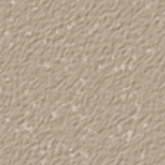 Nutmeg