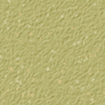 Willow Green