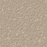Nutmeg
